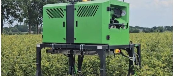 Boomtelers grossieren in nieuwe technieken