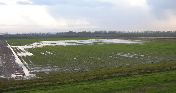 Gewasbeschermingsmiddelen vasthouden bij buien