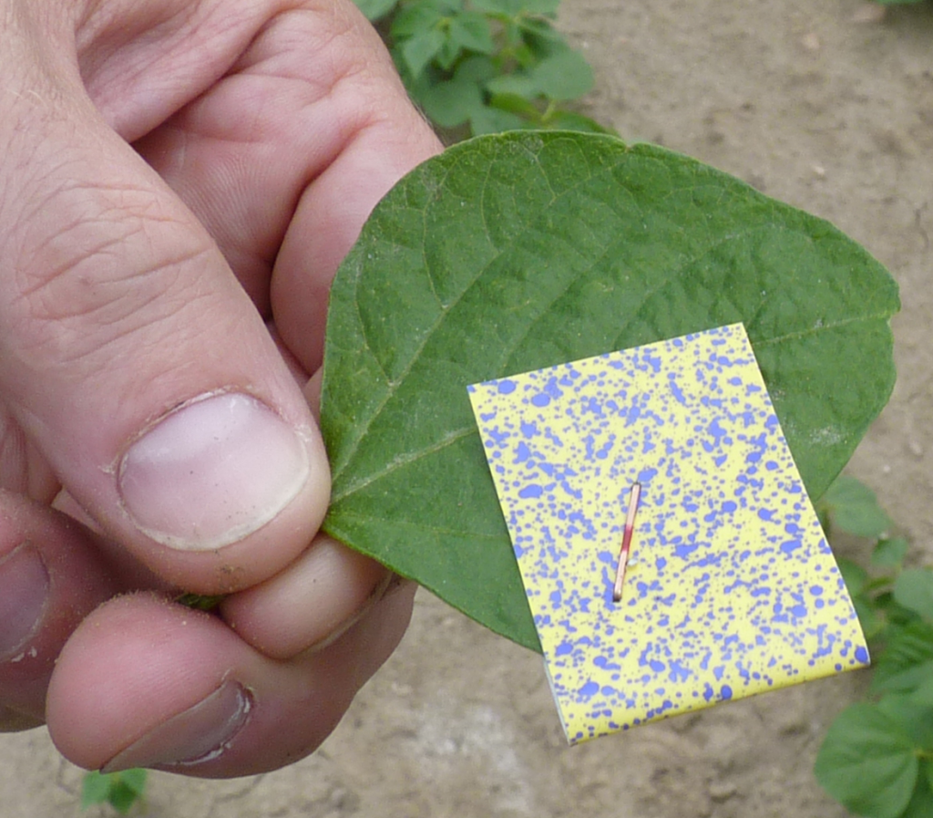 Spuitbeeld op watergevoelig papier