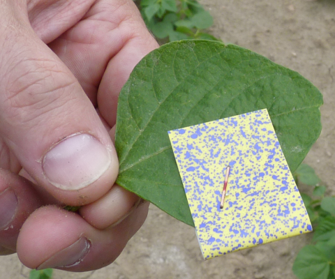 Spuitbeeld op watergevoelig papier