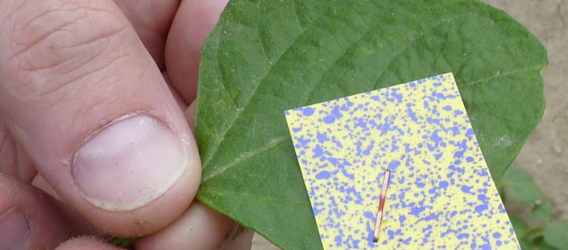 Precisiespuiten met Vision Spray-technologie onderzocht in de praktijk