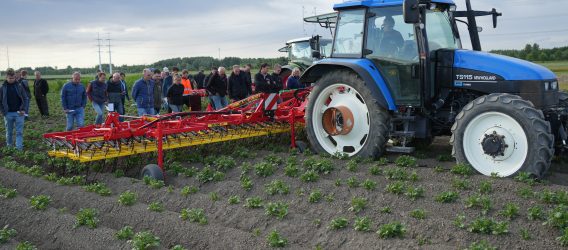 Chemie besparen met wiedeggen, schoffelen en aanaarden