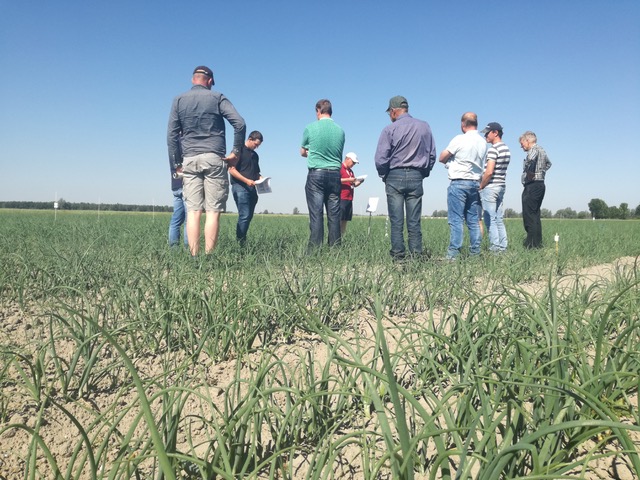 Deelnemers in het veld