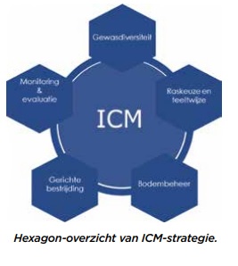 Hexagon-overzicht ICM-strategie