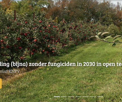 https://www.knpv.org/nl/menu/Events/Ziektebestrijding--bijna--zonder-fungiciden-in-open-teelten/Programma