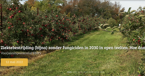 Ziektebestrijding (bijna) zonder fungiciden, in 2030, in open teelten. Hoe dan?