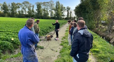 Oppervlakkige afspoeling verschilt sterk per grondsoort