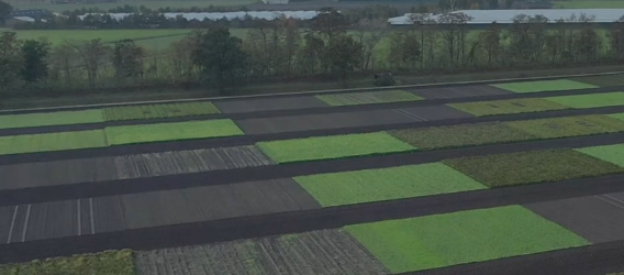 Proef met minder bestrijdingsmiddelen in akkerbouw krijgt vervolg