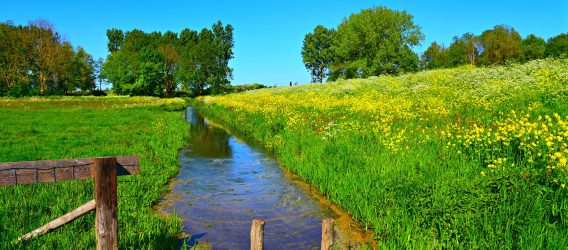Water wordt geleidelijk schoner, de landbouwsector helpt mee