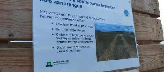 Proef: afspoeling beperken in uienteelt, door strodek in spuitsporen